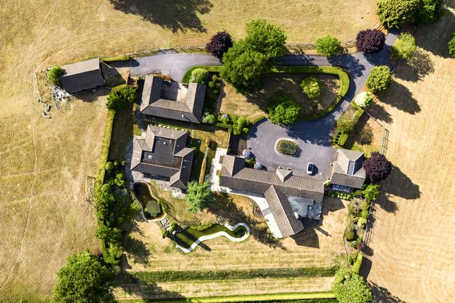 Birds-Eye View