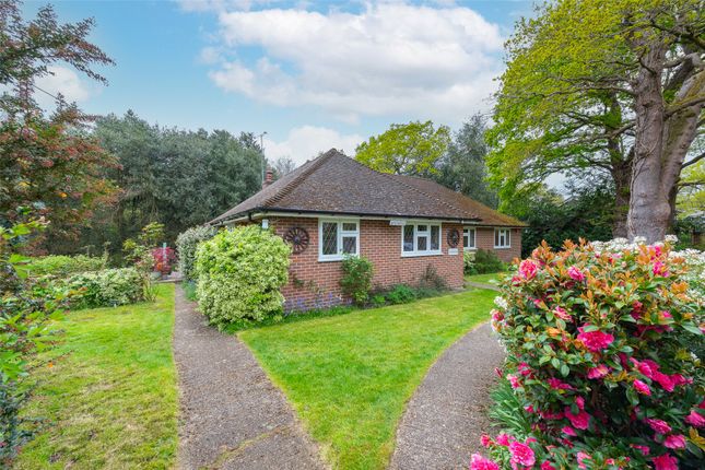 Bungalow for sale in Cricket Hill Lane, Yateley, Hampshire