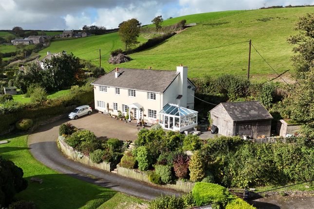 South Molton photo 2