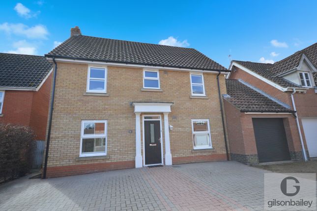 Thumbnail Detached house to rent in Stirling Road, Norwich, Norfolk