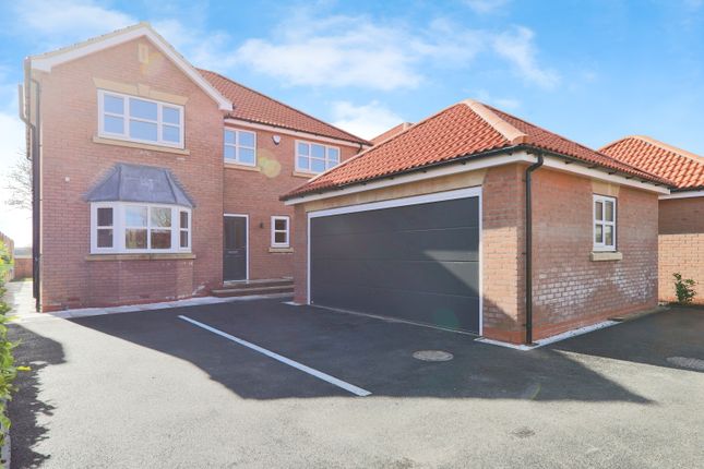 Thumbnail Detached house for sale in Meadow Court, Newport, Brough