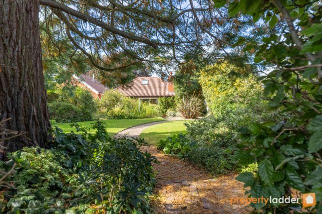 Detached bungalow for sale in Buxton Road, Spixworth, Norwich