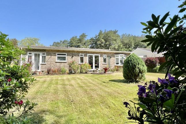 Detached bungalow for sale in Heath Road, St Leonards, Ringwood