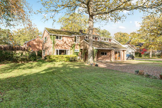 1356475-3-6909Fa3...