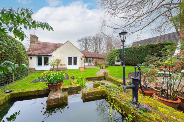Thumbnail Bungalow for sale in Tindal Close, Yateley