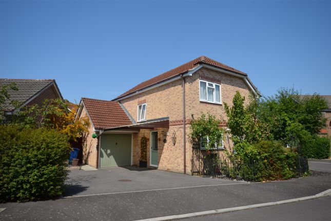 Side, Drive And Garage