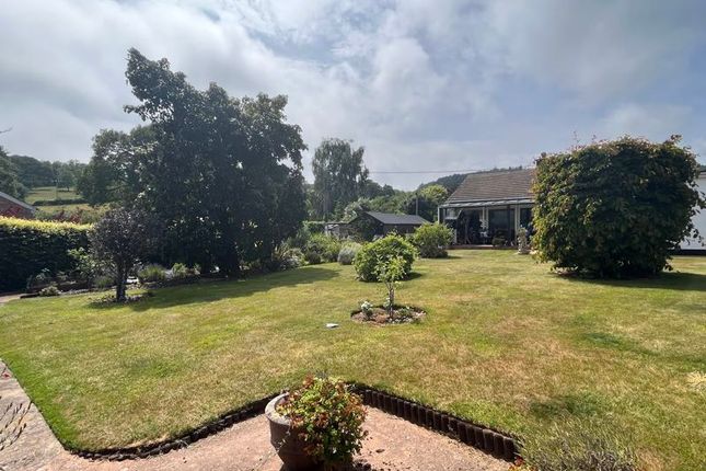 Detached bungalow for sale in Dark Lane, Sidmouth