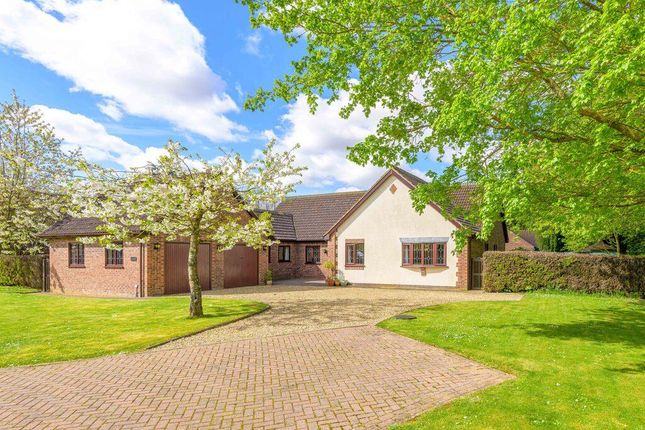 Thumbnail Detached bungalow for sale in Churchgate Mews, Gedney, Spalding