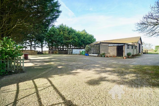 Thumbnail Detached house for sale in Freckenham, Bury St. Edmunds