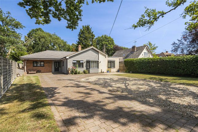 Rolphton,, Island Farm Road, Reading photo 3