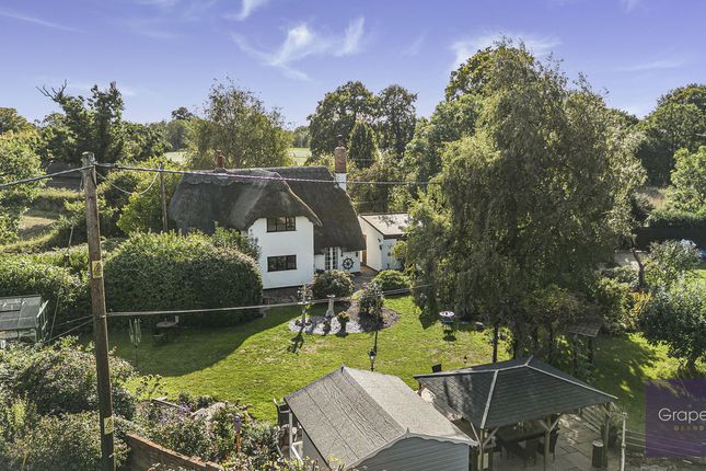 White Rose Cottage, Poplar Lane, Reading photo 4