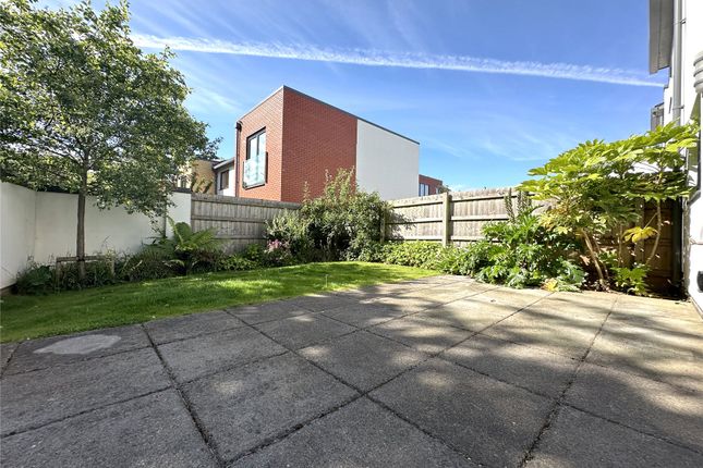 Back Garden