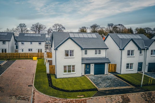 Thumbnail Detached house for sale in Osprey Terrace, Broughty Ferry