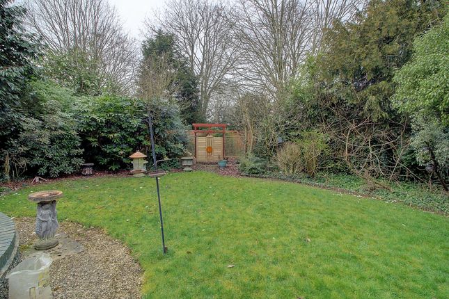 1, The Rills, Hinckley photo 4