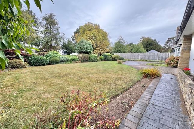 Rear Garden View 2