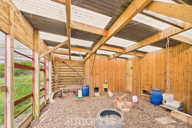 Chicken Shed With Run