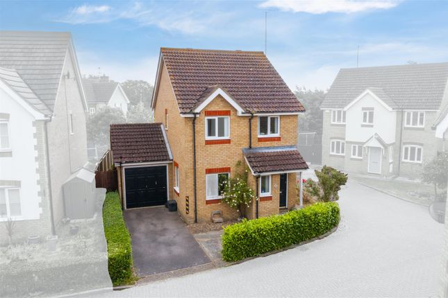 Thumbnail Detached house for sale in Primrose Walk, Southminster