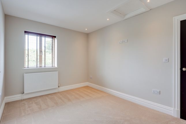 102 Woodbridge Road Brighter-13