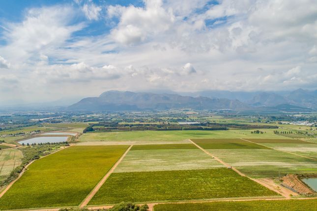 Simondium Plaisir Wine Estate Farm 6, Simondium, Cape Winelands, Western Cape ...