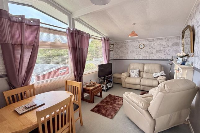 96, Elmrise Park Holiday Village, Carmarthen photo 4
