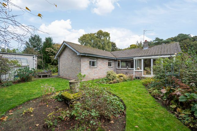 Holmwood, St Ronans Drive, Kinross photo 2