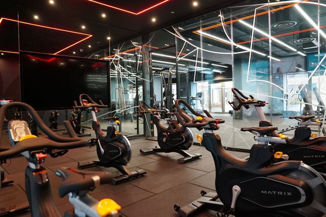 Modern Gym Space Featuring Multiple Stationary Exe...