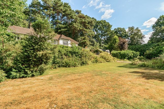 Little Brook Fir Tree Lane, Pulborough photo 4