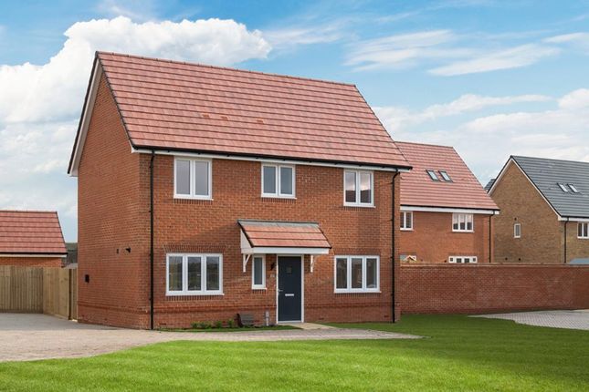 Thumbnail Detached house for sale in "Cedar" at Abingdon Road, Didcot