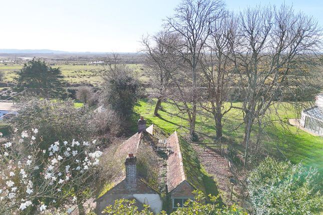 Suffield Cottage, Pages Lane, Brockenhurst photo 2
