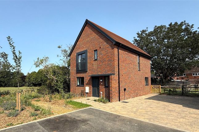 The Property