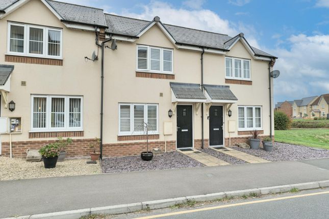 Edited Drone-2657.Jpg