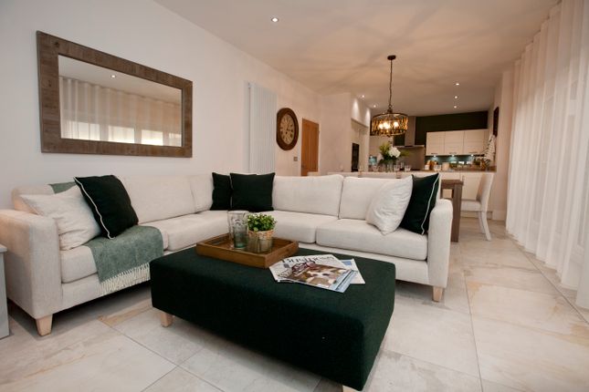 Showhome Photography