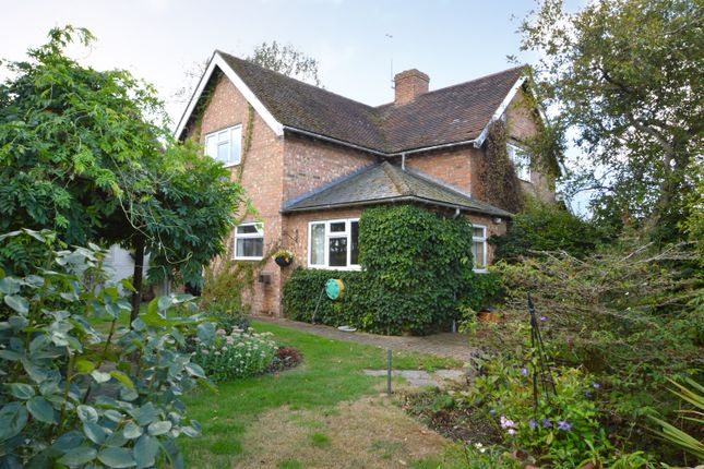 Little Cot, Braintree photo 2