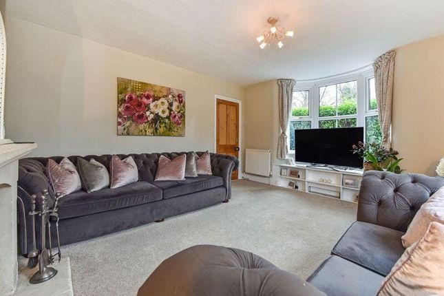 Lorentz, Botley Road, Southampton photo 3