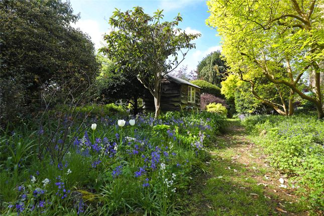 Detached house for sale in Somerset Road, Wimbledon, London