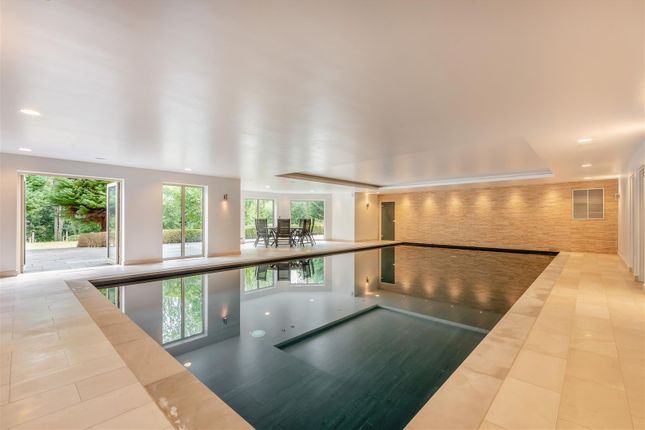 Pool.Jpg