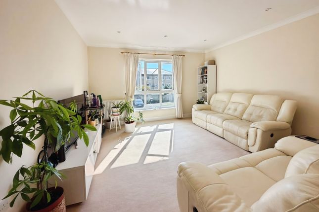 52, Cambridge photo 2