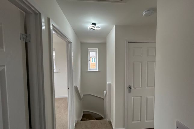 54, Violet Street, BRANDON photo 4