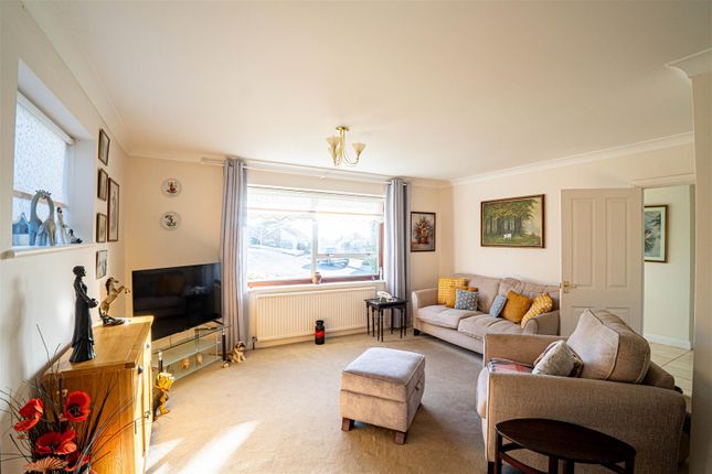 St. Dominic Close, St. Leonards-On-Sea photo 3