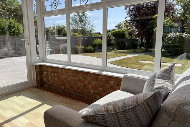 22, Spring Lane, Colchester photo 3