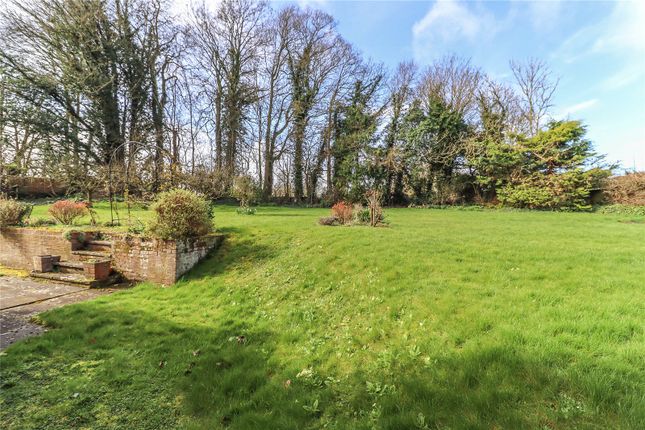 Detached house for sale in East Cholderton, Andover, Hampshire