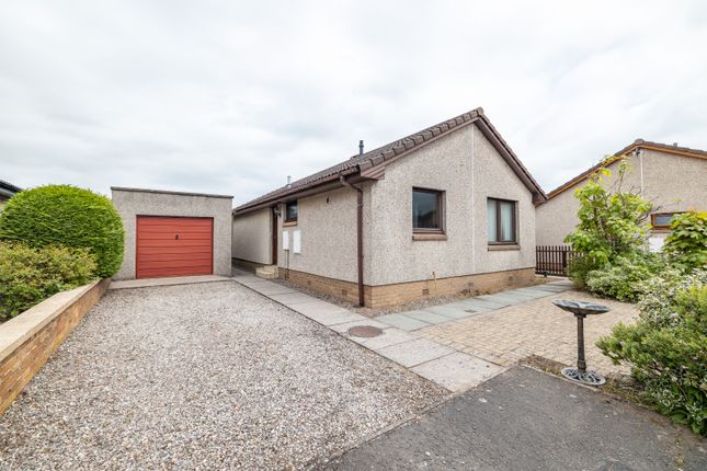 Thumbnail Bungalow for sale in Pirnie Mill, Forfar