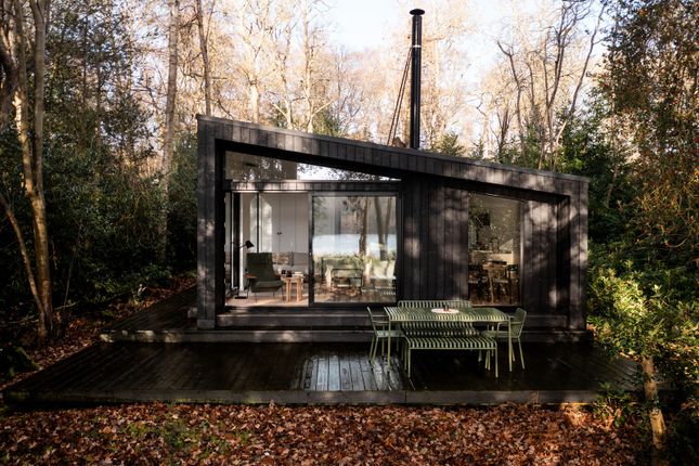 263590 - Copy Of Copy Of Hill Wood_The Modern House 2.Jpg