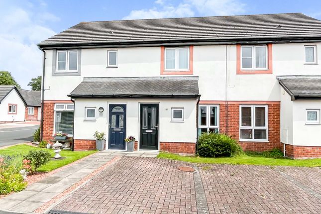 Thumbnail Terraced house for sale in Sycamore Drive, Longtown, Carlisle