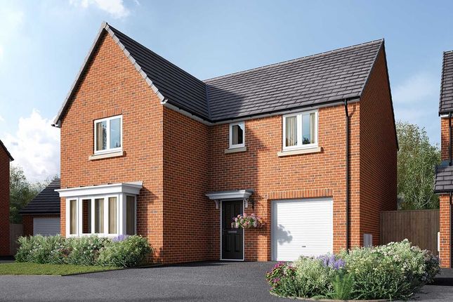 Thumbnail Detached house for sale in "Grainger" at Primrose Drive, Sowerby, Thirsk