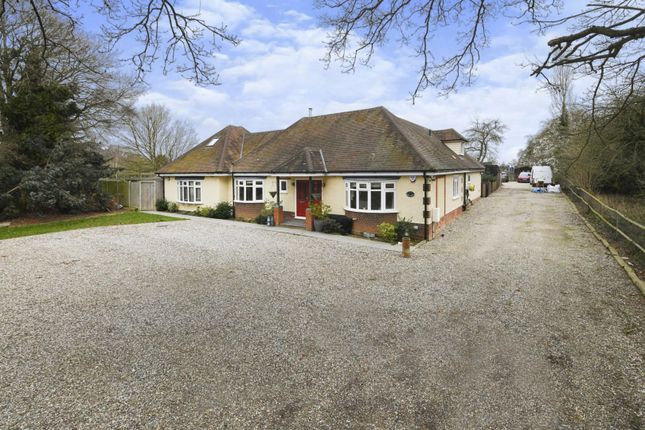 Thumbnail Detached house for sale in Damases Lane, Chelmsford