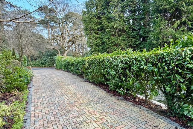 Woodlands, Maultway North, CAMBERLEY photo 4