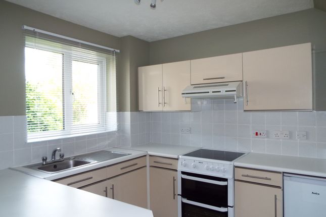 41, Romsey photo 2