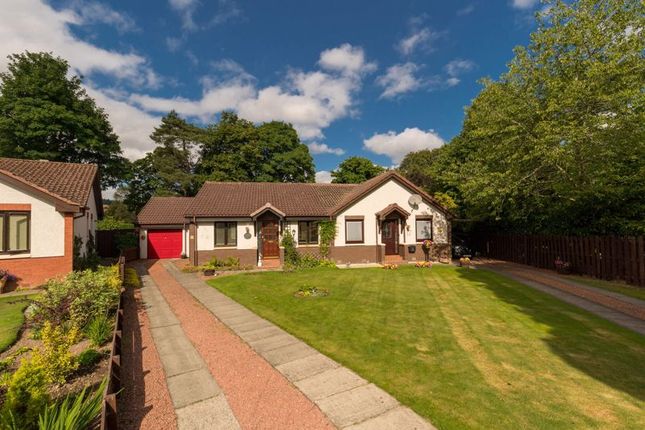 Thumbnail Semi-detached bungalow for sale in 16 The Loanings, Peebles