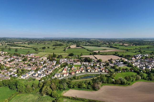 Plot 16, The Halsway, Neroche Meadows, Broadway photo 4